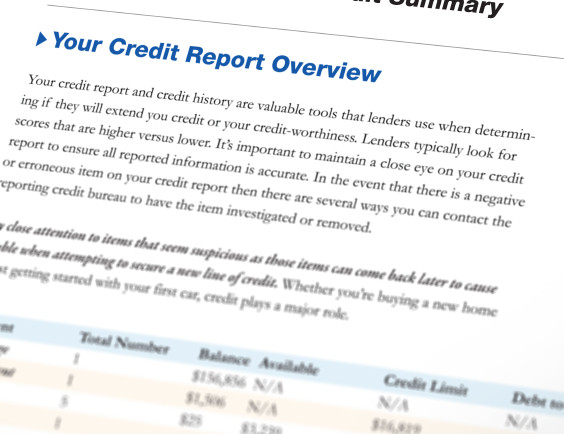 credit dispute report inquiry